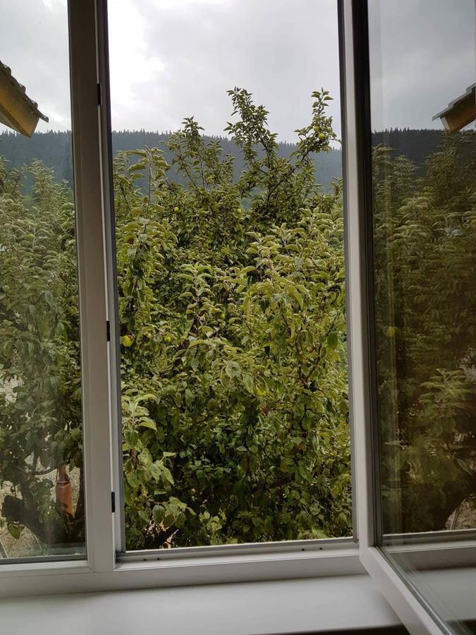 Guesthouse Guram Baba Mestia Eksteriør billede