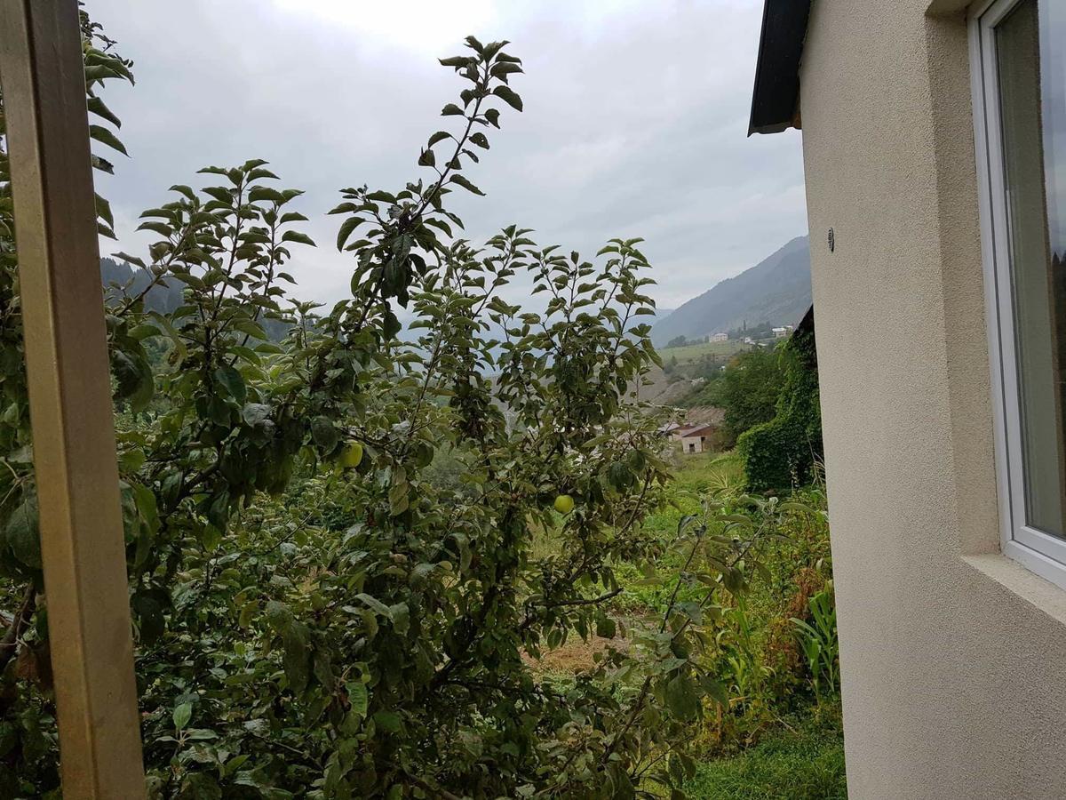 Guesthouse Guram Baba Mestia Eksteriør billede